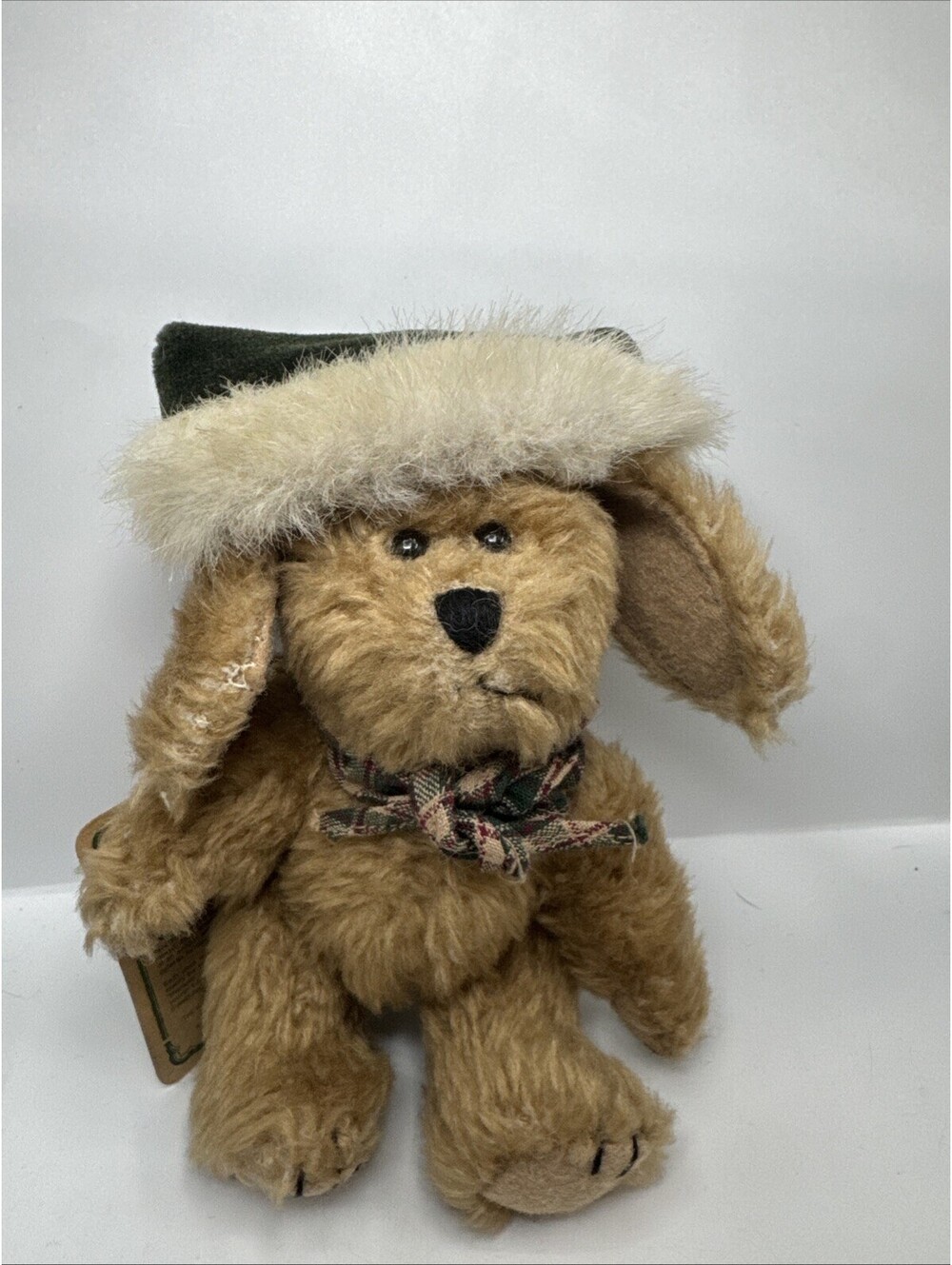 Boyds Bears Indy Dog 5.5" Green Hat